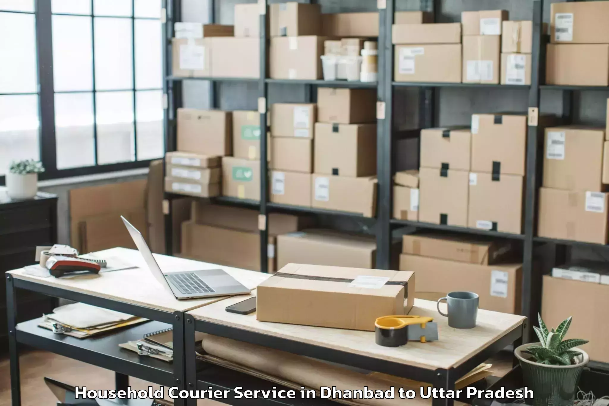 Reliable Dhanbad to Sharda University Greater Noid Household Courier